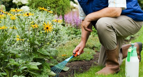 Modern lawn maintenance equipment used by experts