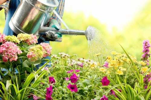 Professional lawn care services being performed