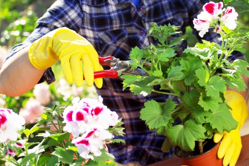 Healthy green lawn maintained by experts