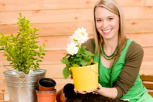 Professional lawn mower service in Gunnersbury